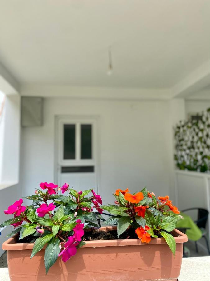 Apartmani Dragana Herceg Novi Exterior photo