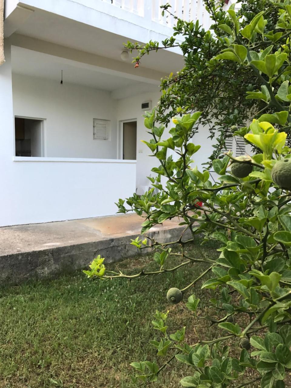 Apartmani Dragana Herceg Novi Exterior photo